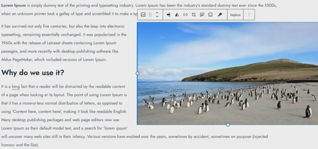 How to Wrap Text Around Image in WordPress Block Editor 7 Add your text
