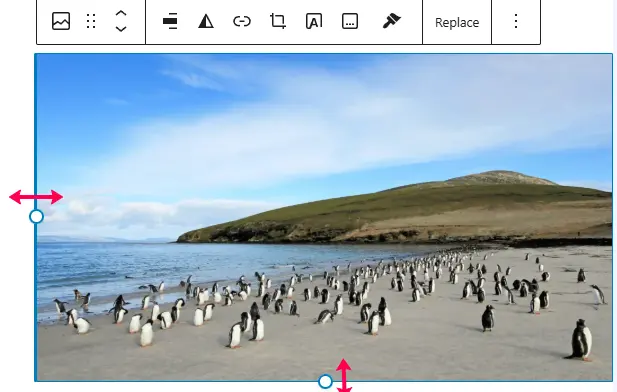 How to Wrap Text Around Image in WordPress Block Editor 6 adjust image in gutenberg